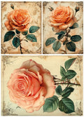 LaBlanche Three Pack Large Rose A4 Rice Paper